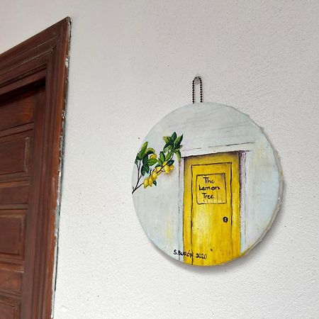 Lemon Tree Corazon De Cadiz Grupo Ac Gestion Apartman Kültér fotó